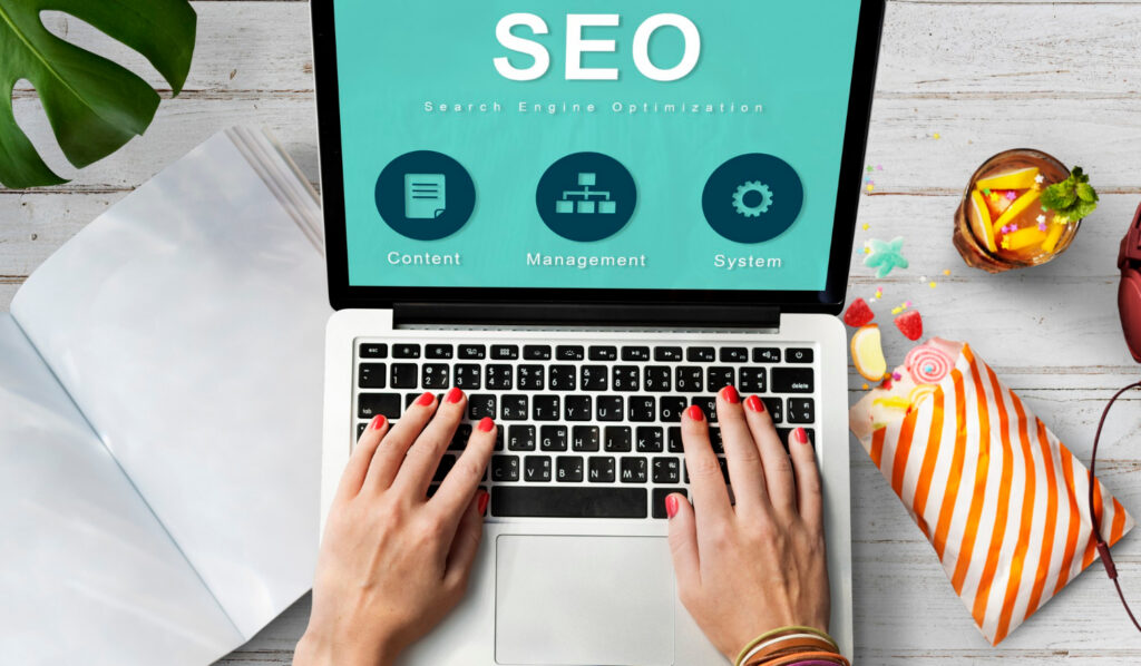 seo expert
